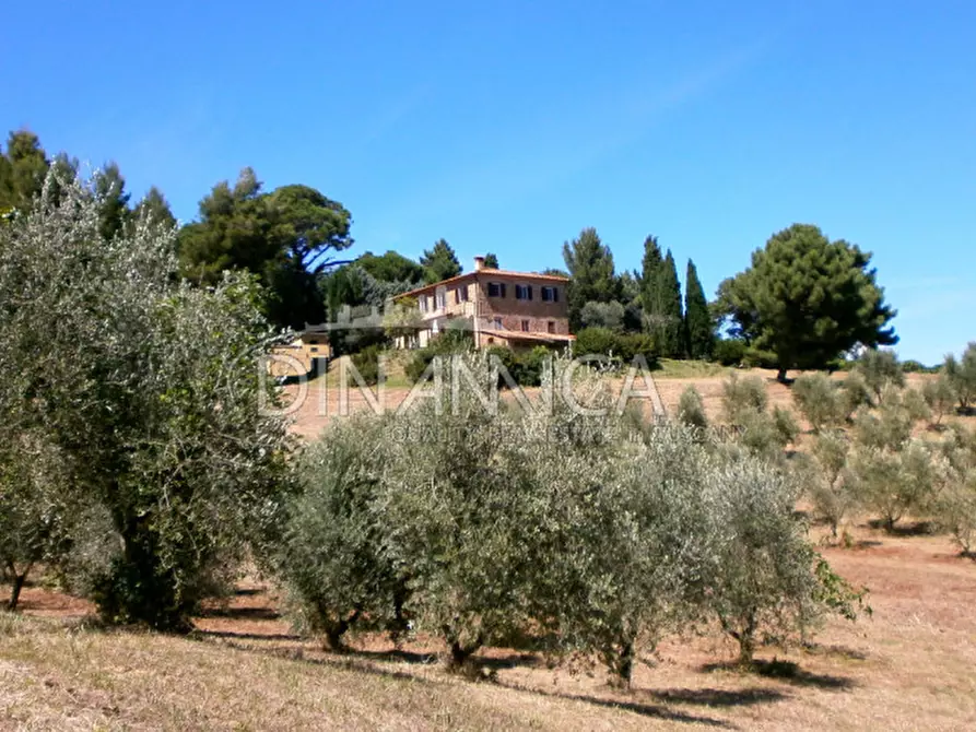 Immagine 1 di Rustico / casale in vendita  a Chianni