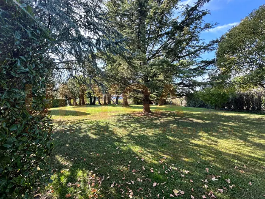 Immagine 35 di Casa bifamiliare in vendita  in Via della Biscia a Padova