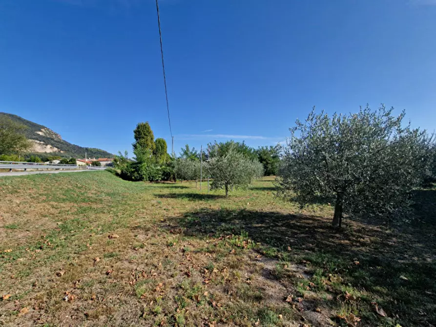 Immagine 3 di Terreno in vendita  in VIA ARZER DEL VESCOVO a Baone