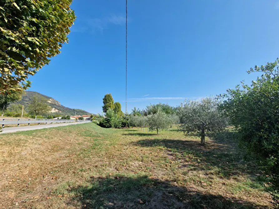 Immagine 5 di Terreno in vendita  in VIA ARZER DEL VESCOVO a Baone