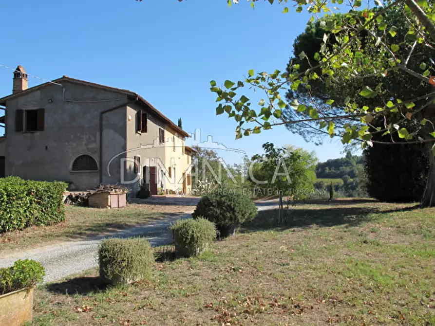 Immagine 2 di Rustico / casale in vendita  a Palaia