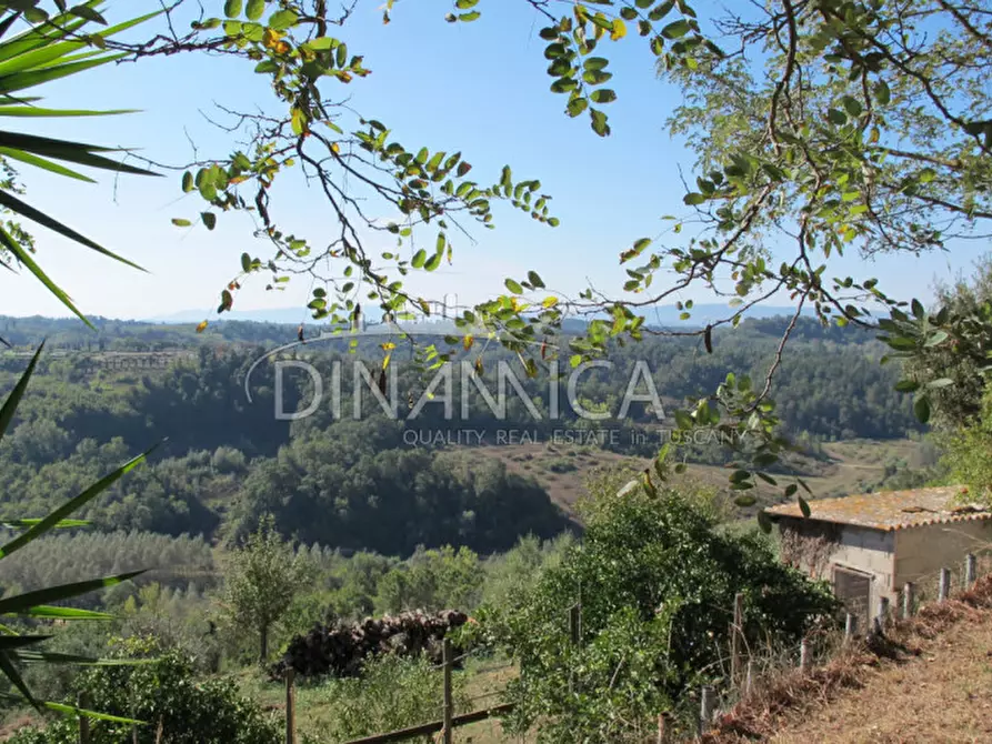 Immagine 4 di Rustico / casale in vendita  a Palaia