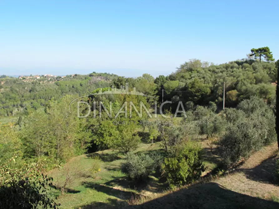 Immagine 6 di Rustico / casale in vendita  a Palaia