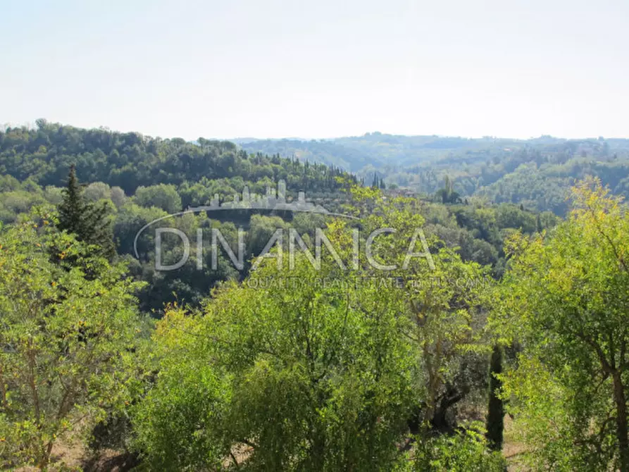 Immagine 17 di Rustico / casale in vendita  a Palaia