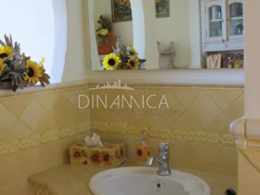 Immagine 22 di Rustico / casale in vendita  a Palaia