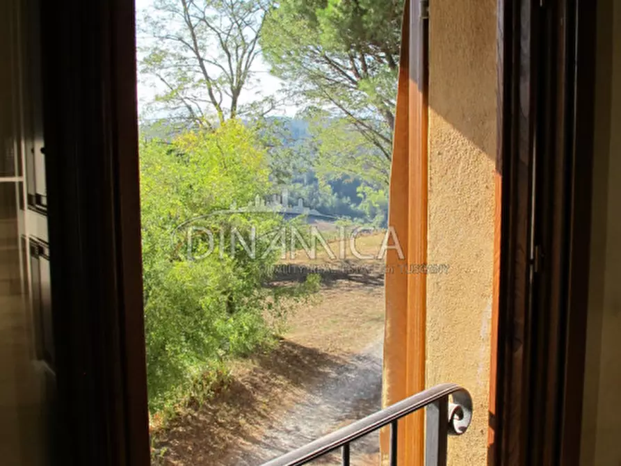 Immagine 30 di Rustico / casale in vendita  a Palaia