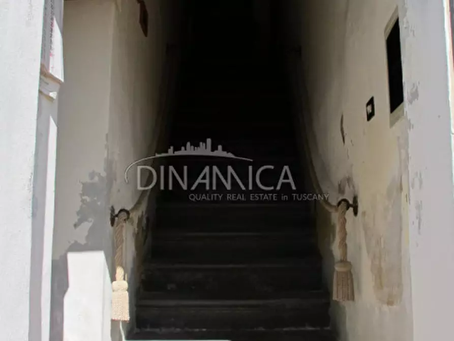 Immagine 31 di Rustico / casale in vendita  a Palaia