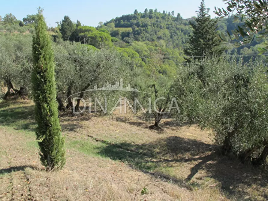 Immagine 36 di Rustico / casale in vendita  a Palaia