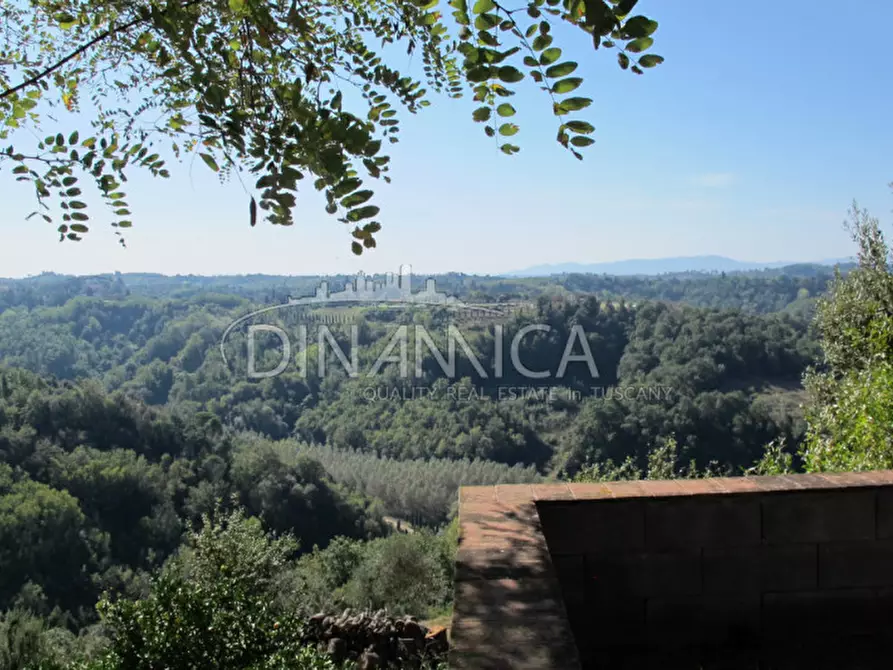 Immagine 38 di Rustico / casale in vendita  a Palaia