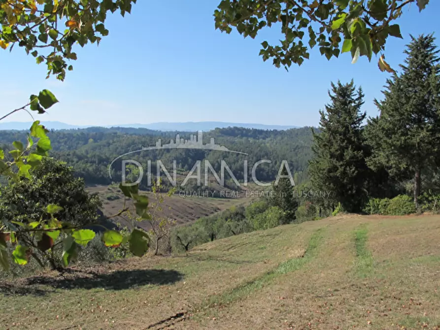 Immagine 39 di Rustico / casale in vendita  a Palaia