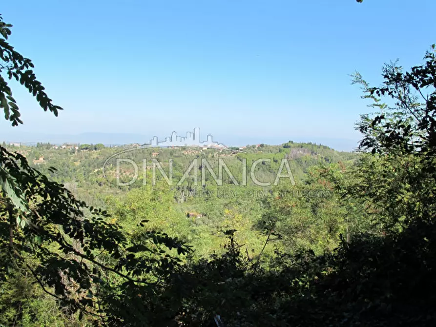 Immagine 40 di Rustico / casale in vendita  a Palaia