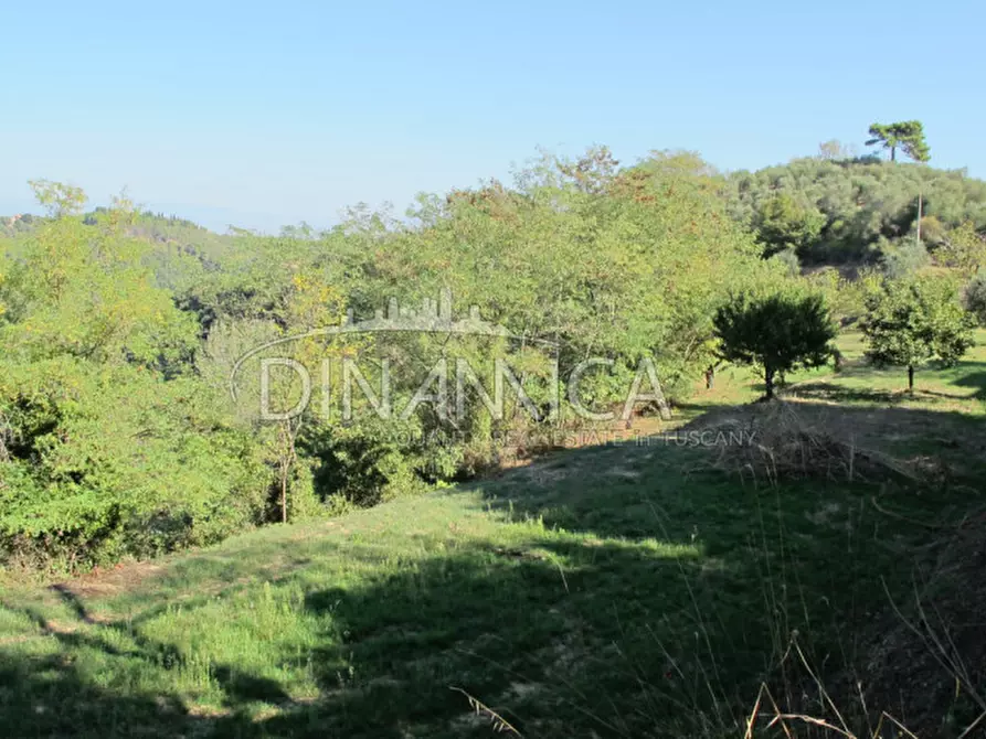 Immagine 41 di Rustico / casale in vendita  a Palaia