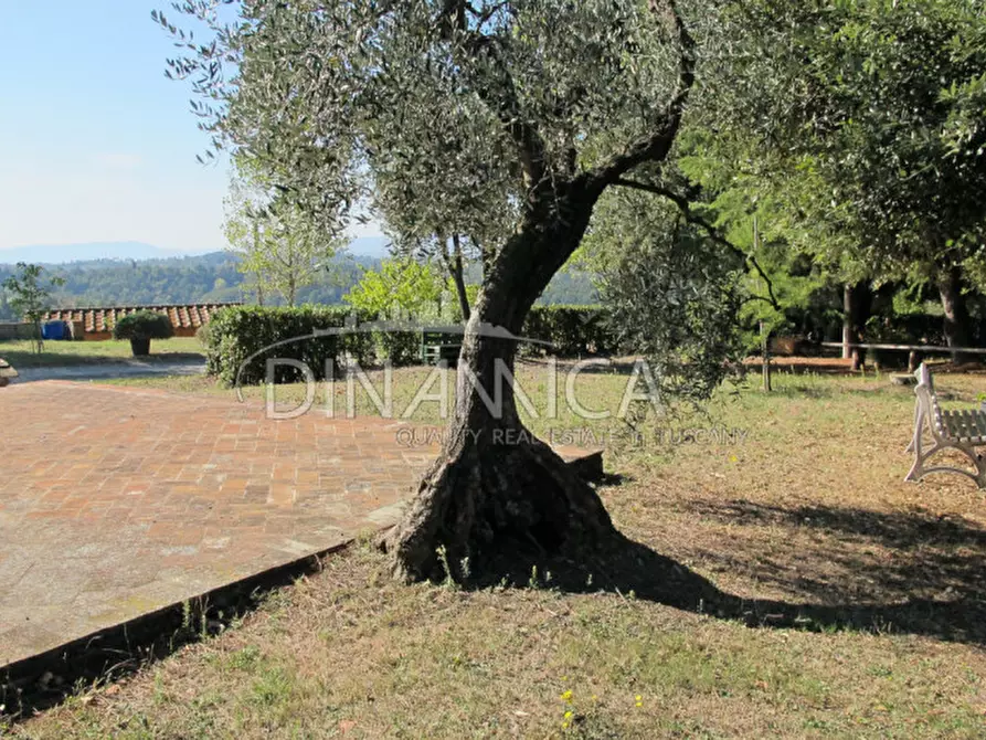 Immagine 42 di Rustico / casale in vendita  a Palaia
