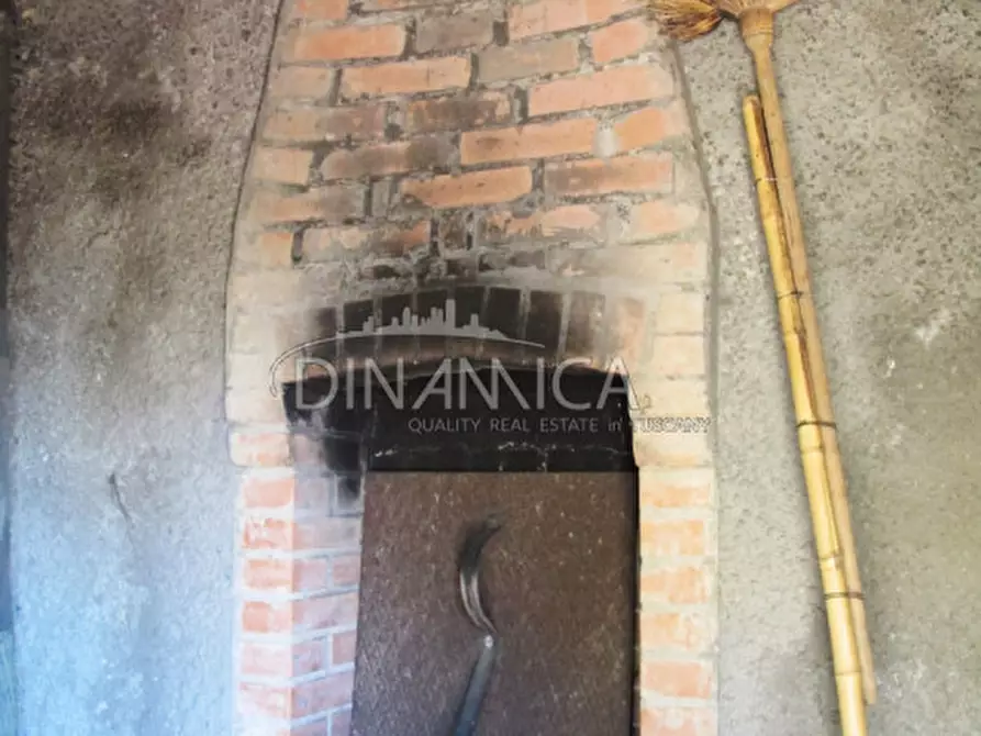 Immagine 43 di Rustico / casale in vendita  a Palaia