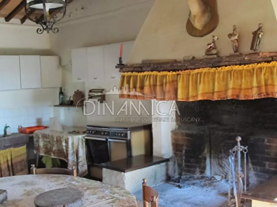 Immagine 45 di Rustico / casale in vendita  a Palaia