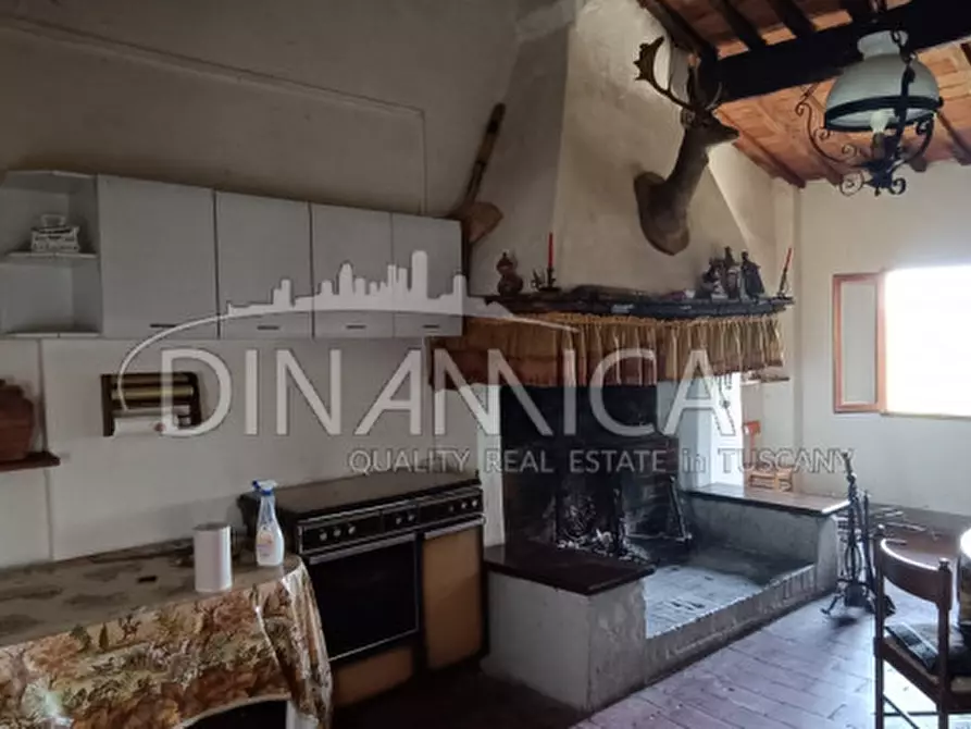 Immagine 51 di Rustico / casale in vendita  a Palaia