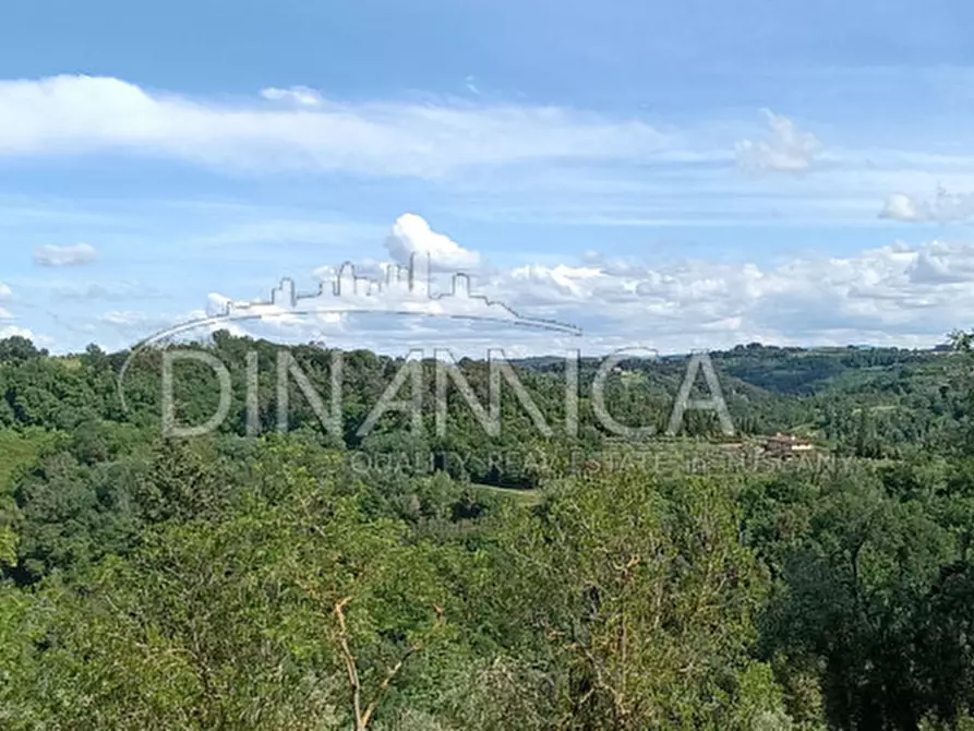 Immagine 52 di Rustico / casale in vendita  a Palaia