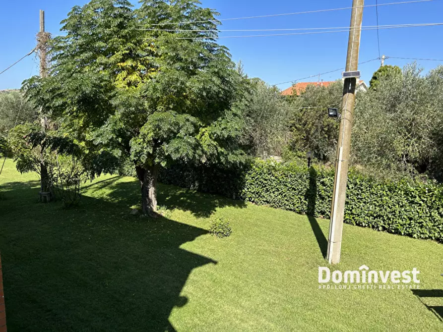 Immagine 12 di Appartamento in affitto  in Via pedemontana a Capalbio