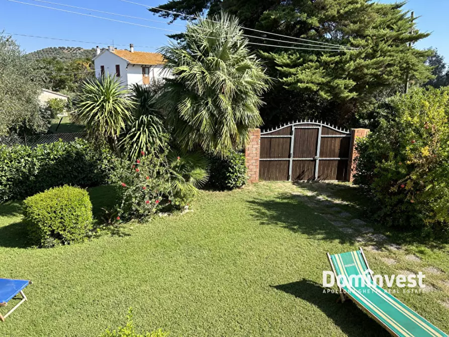 Immagine 13 di Appartamento in affitto  in Via pedemontana a Capalbio