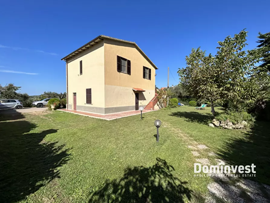 Immagine 16 di Appartamento in affitto  in Via pedemontana a Capalbio