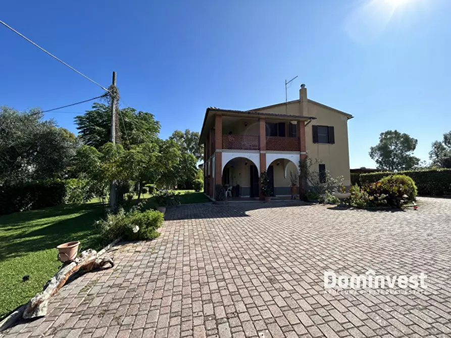 Immagine 18 di Appartamento in affitto  in Via pedemontana a Capalbio