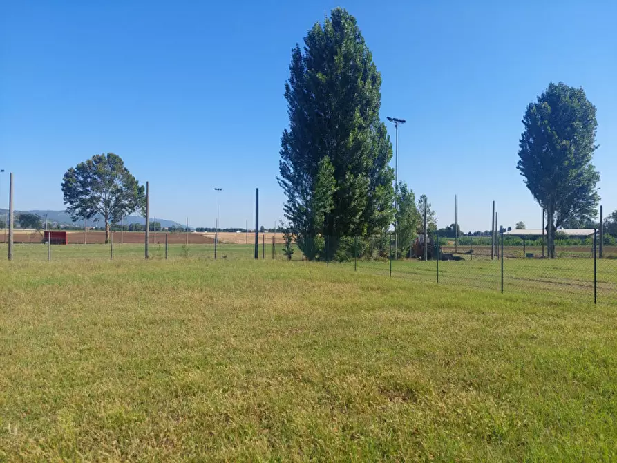 Immagine 2 di Terreno in vendita  in via Cagnano a Poiana Maggiore