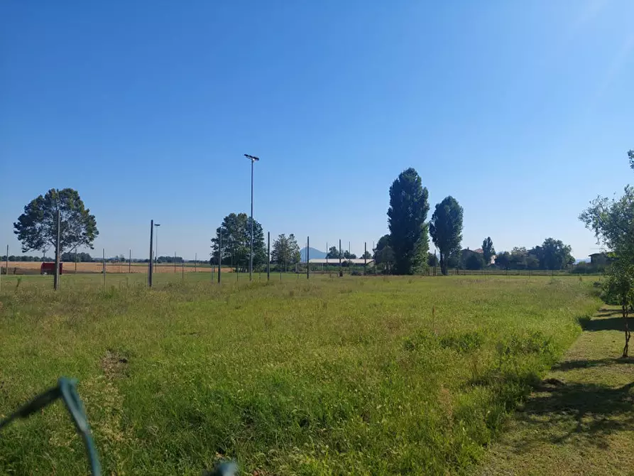 Immagine 4 di Terreno in vendita  in via Cagnano a Poiana Maggiore