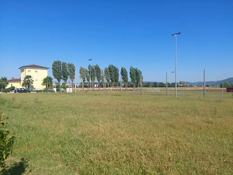 Immagine 5 di Terreno in vendita  in via Cagnano a Poiana Maggiore