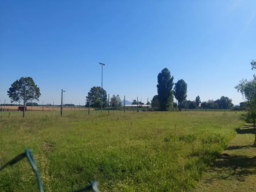 Immagine 6 di Terreno in vendita  in via Cagnano a Poiana Maggiore
