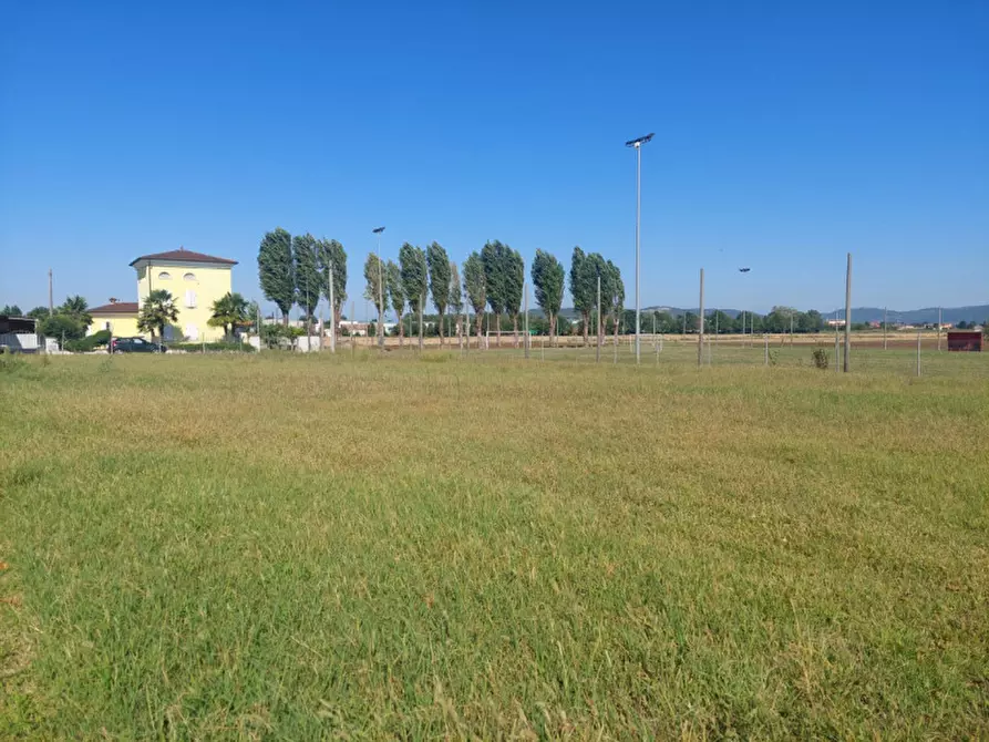 Immagine 7 di Terreno in vendita  in via Cagnano a Poiana Maggiore