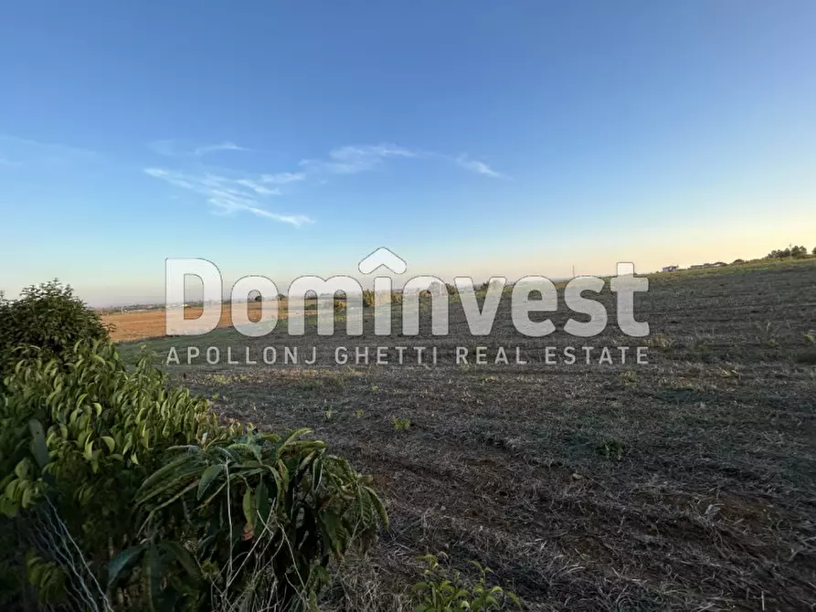 Immagine 5 di Terreno in vendita  in PESCIA FIORENTINA a Capalbio