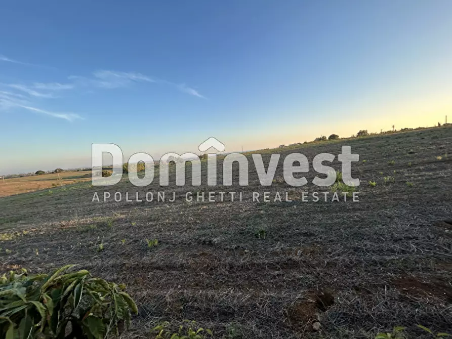 Immagine 6 di Terreno in vendita  in PESCIA FIORENTINA a Capalbio