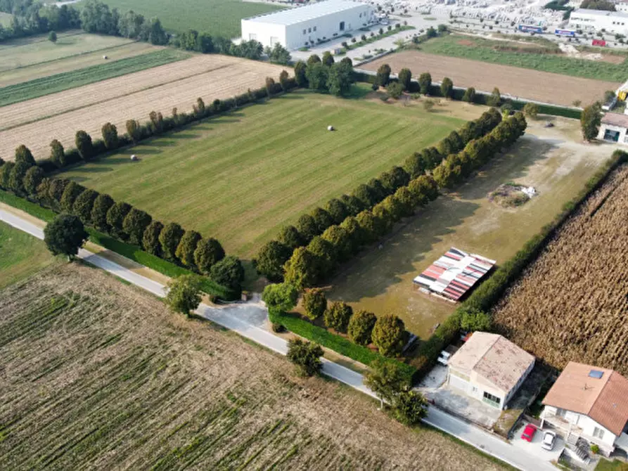 Immagine 3 di Terreno in affitto  in Via San Paolo a Rossano Veneto