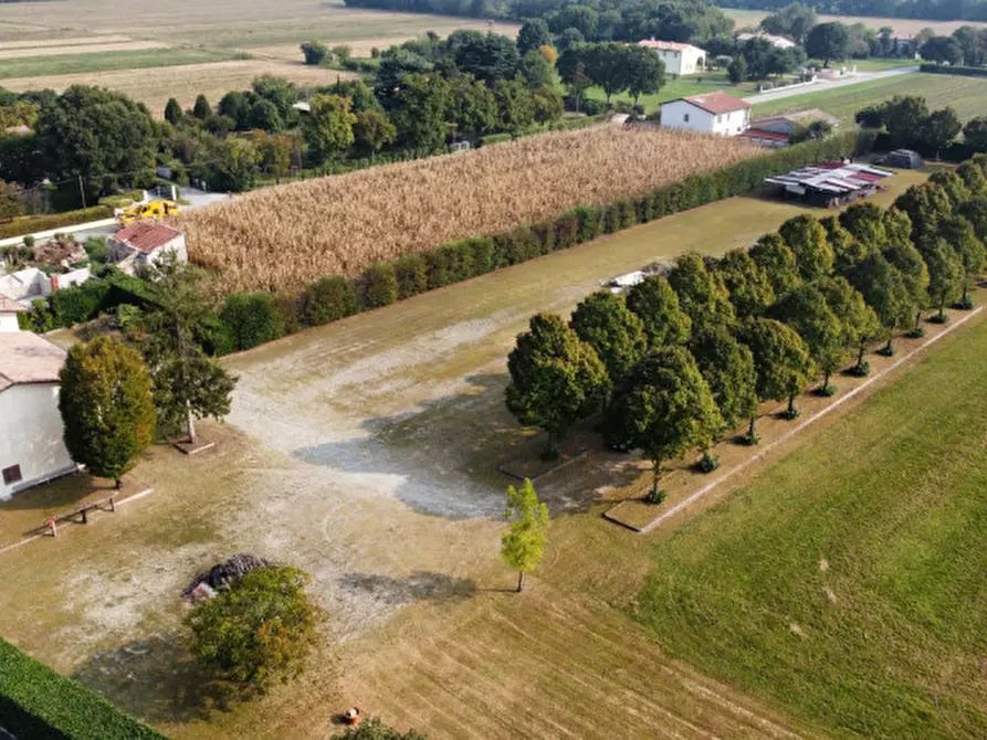 Immagine 4 di Terreno in affitto  in Via San Paolo a Rossano Veneto