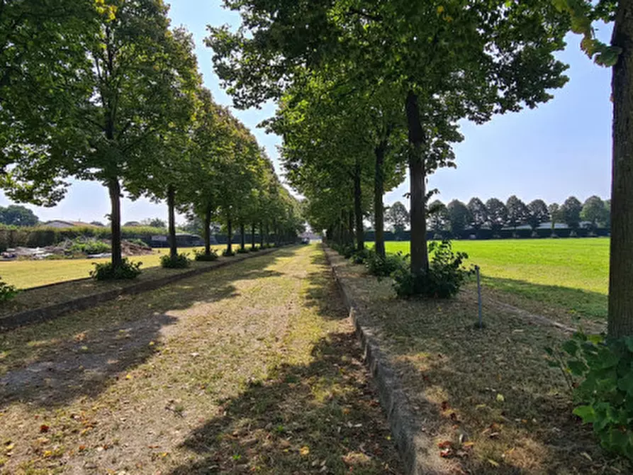Immagine 20 di Terreno in affitto  in Via San Paolo a Rossano Veneto