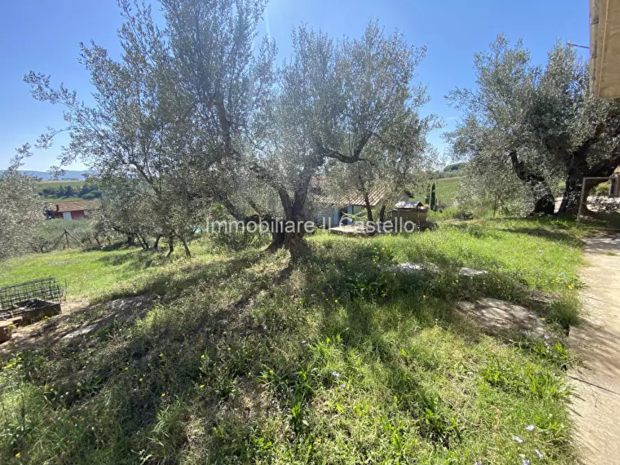 Immagine 20 di Casa indipendente in vendita  in vaiano a Castiglione Del Lago