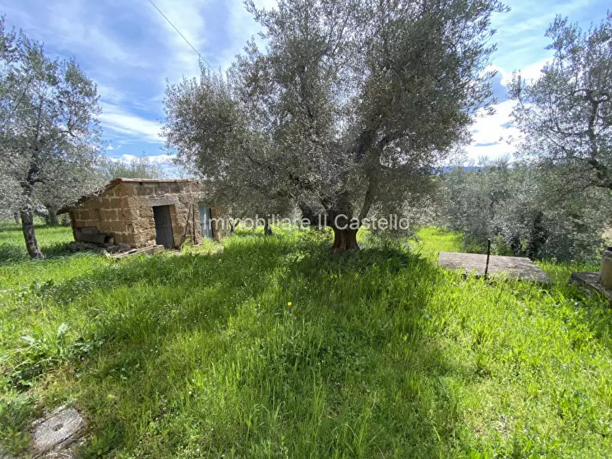Immagine 21 di Casa indipendente in vendita  in vaiano a Castiglione Del Lago