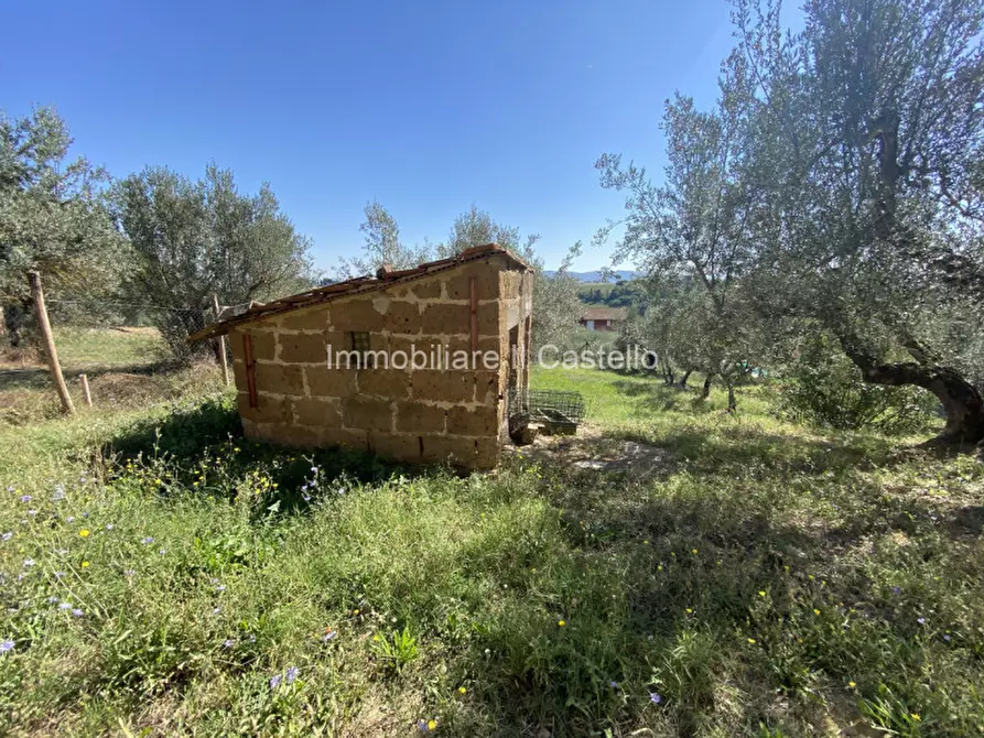 Immagine 22 di Casa indipendente in vendita  in vaiano a Castiglione Del Lago