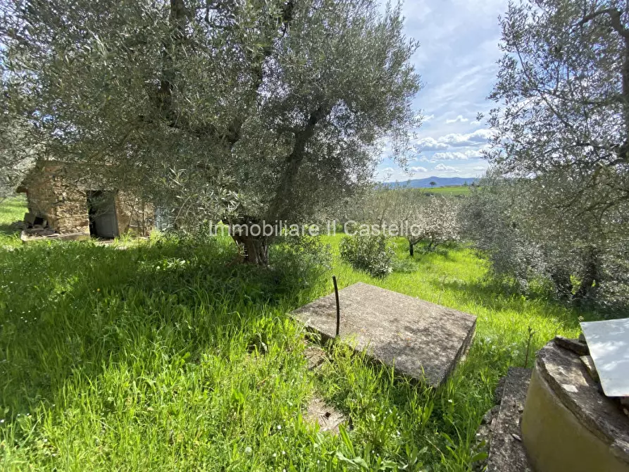 Immagine 25 di Casa indipendente in vendita  in vaiano a Castiglione Del Lago
