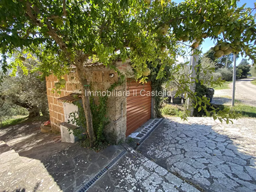 Immagine 26 di Casa indipendente in vendita  in vaiano a Castiglione Del Lago