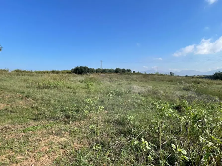 Immagine 6 di Terreno in vendita  in contrada campo a Partinico