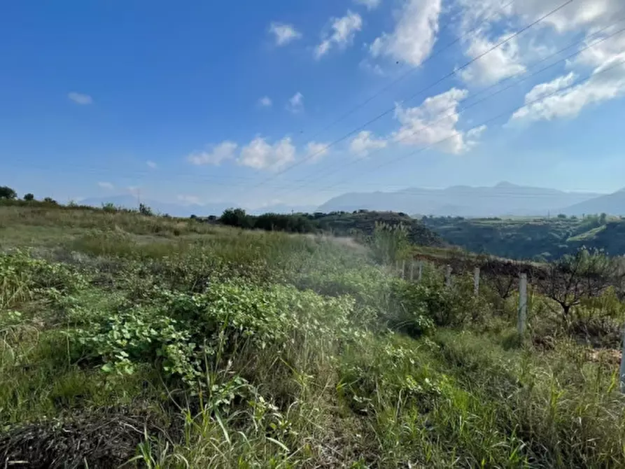 Immagine 8 di Terreno in vendita  in contrada campo a Partinico