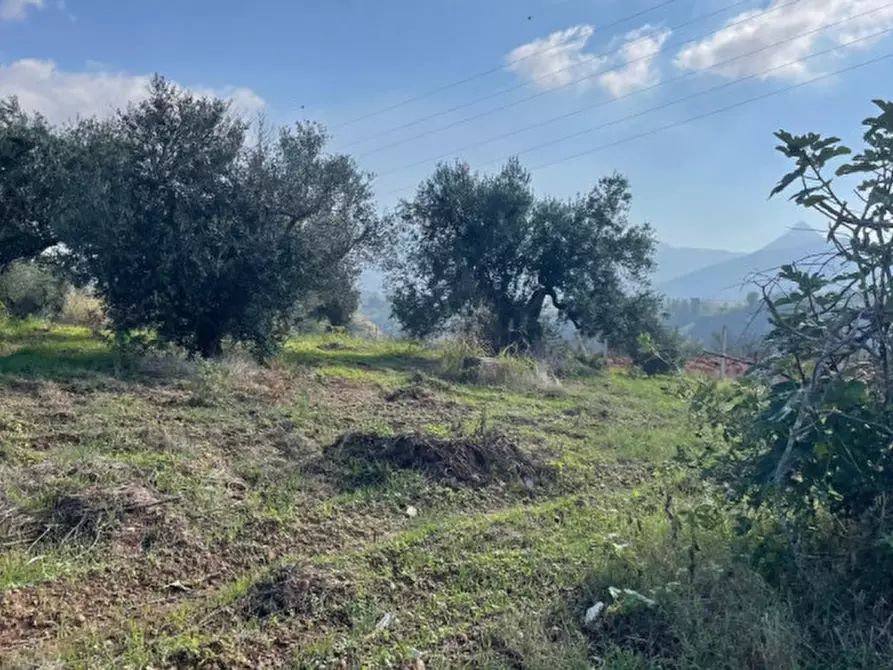 Immagine 10 di Terreno in vendita  in contrada campo a Partinico