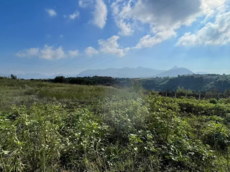 Immagine 11 di Terreno in vendita  in contrada campo a Partinico