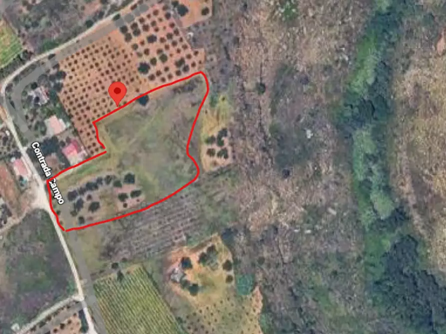 Immagine 13 di Terreno in vendita  in contrada campo a Partinico