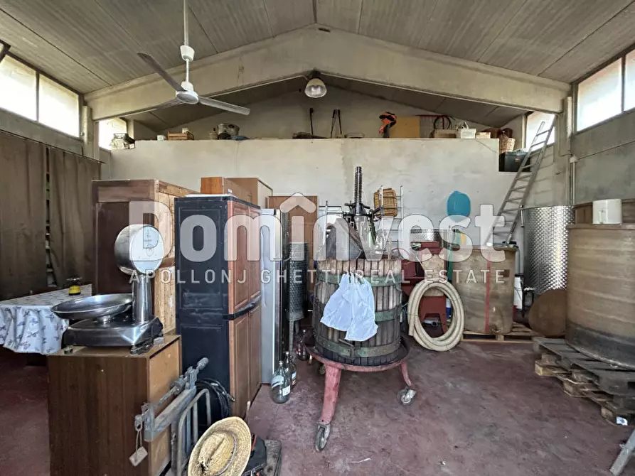 Immagine 20 di Rustico / casale in vendita  in Strada Pedemontana a Capalbio