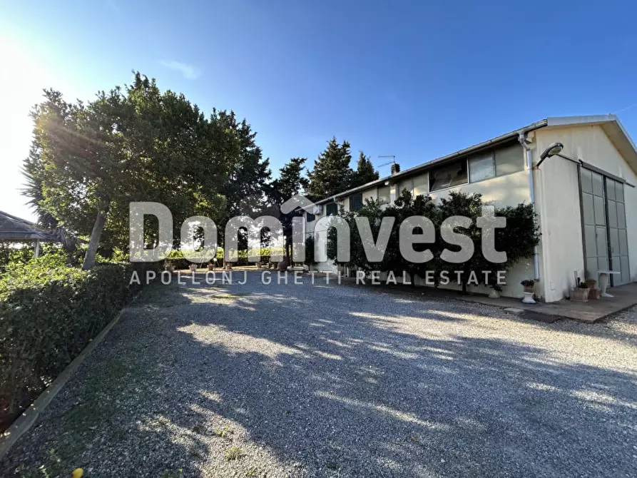 Immagine 21 di Rustico / casale in vendita  in Strada Pedemontana a Capalbio