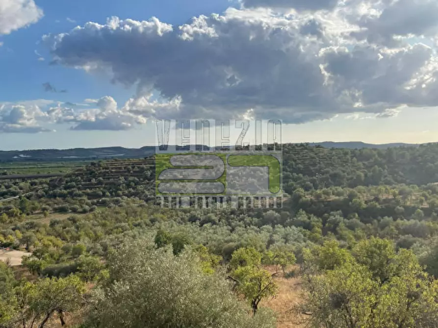 Immagine 9 di Agriturismo in vendita  in san paolo a Noto