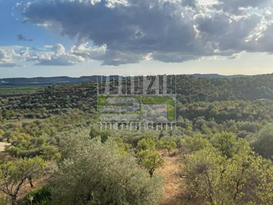 Immagine 16 di Agriturismo in vendita  in san paolo a Noto