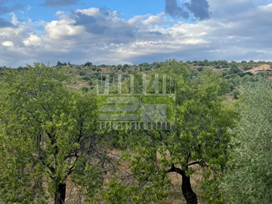 Immagine 20 di Agriturismo in vendita  in san paolo a Noto